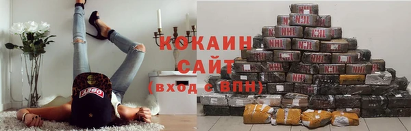 спайс Бородино