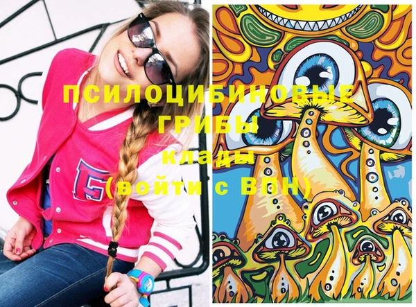 спайс Бородино