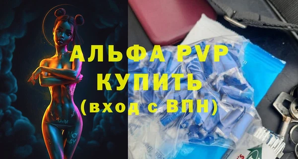 спайс Бородино