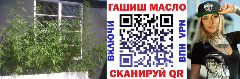 что такое наркотик  Кингисепп  Дистиллят ТГК вейп 